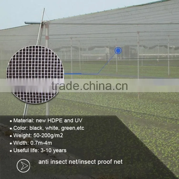 Rigid plastic mesh insect net