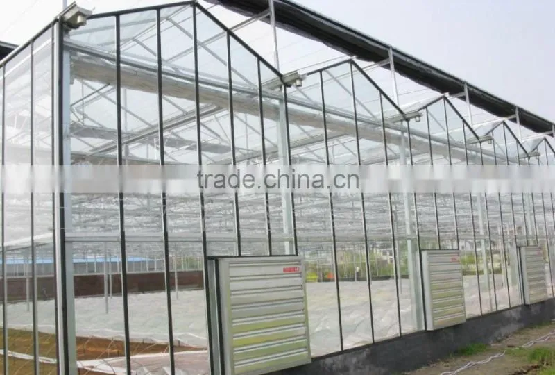 Glass in greenhouse for sale