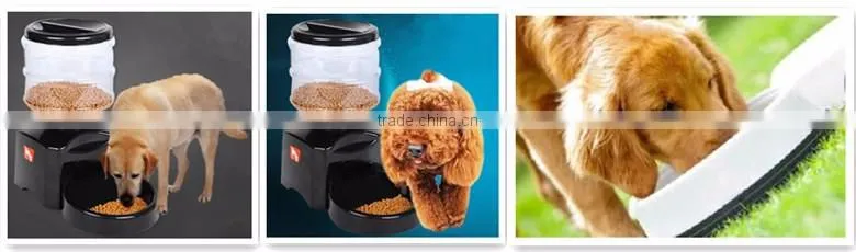 Automatic dog feeder