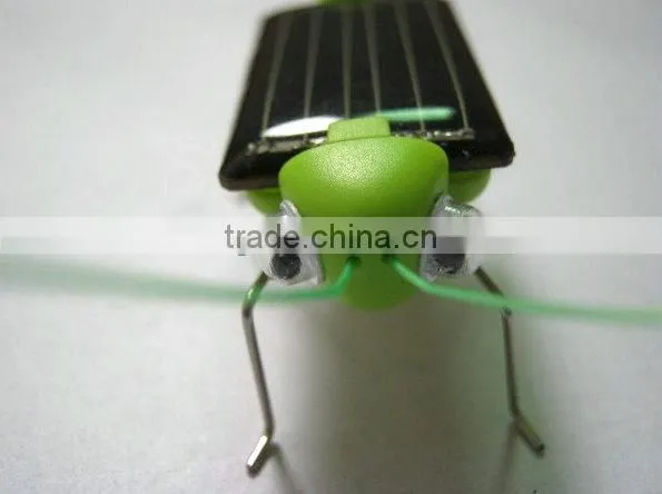 Chinese manufacturer Solar spider/Cockroach Toy Best gift for 3-6 years old kids