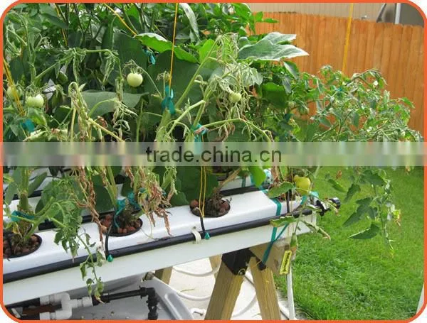 Hydroponics System for Greenhouse