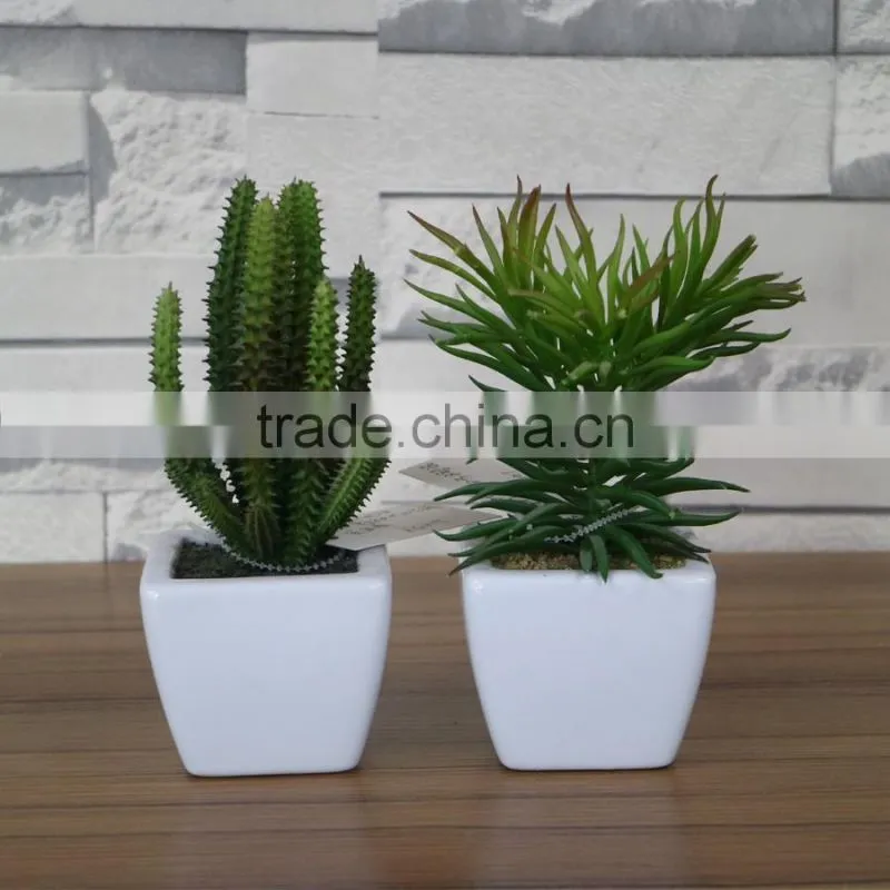 Potted plastic mini succulent cactus plant