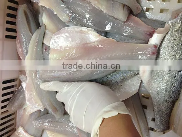 Frozen seabass fillets 5-7oz,7-9oz lateolabrax japinicus for Middle East Market