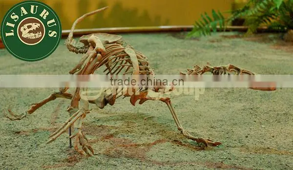 Lisaurus-G hot sell small size replica dinosaur fossil from China