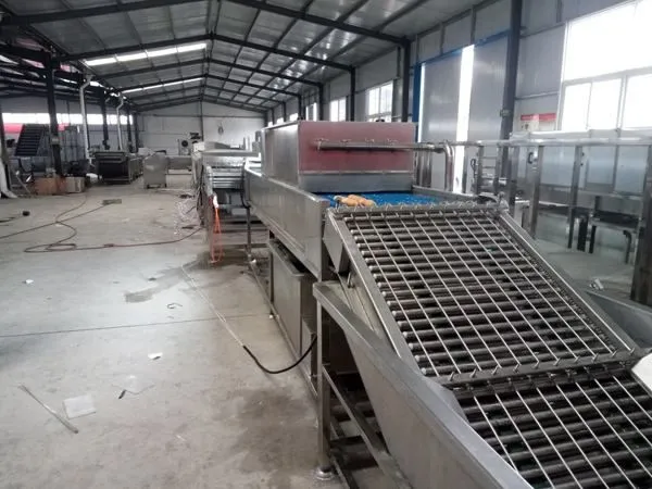 Egg Cleaning Sorting Packing Line