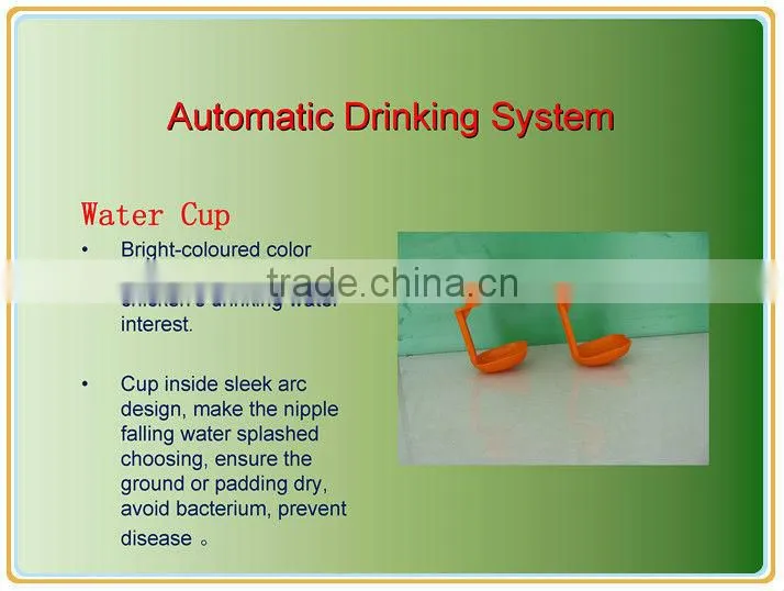 chicken poultry farm equipment