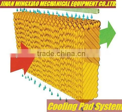 Hot sale modern automatic quail feeding equipment