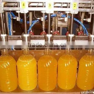 RCGFR24248 Beverage Filling Machine