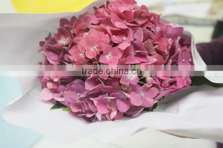 Fresh hot sale european style flower hydrangea