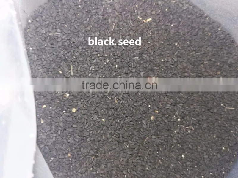 oil press machine with low price for pumpkin seed, cold press Moringa seed oil extracting machine