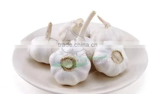 New crop fresh garlic/Wholesale white garlic China origin/China garlic price