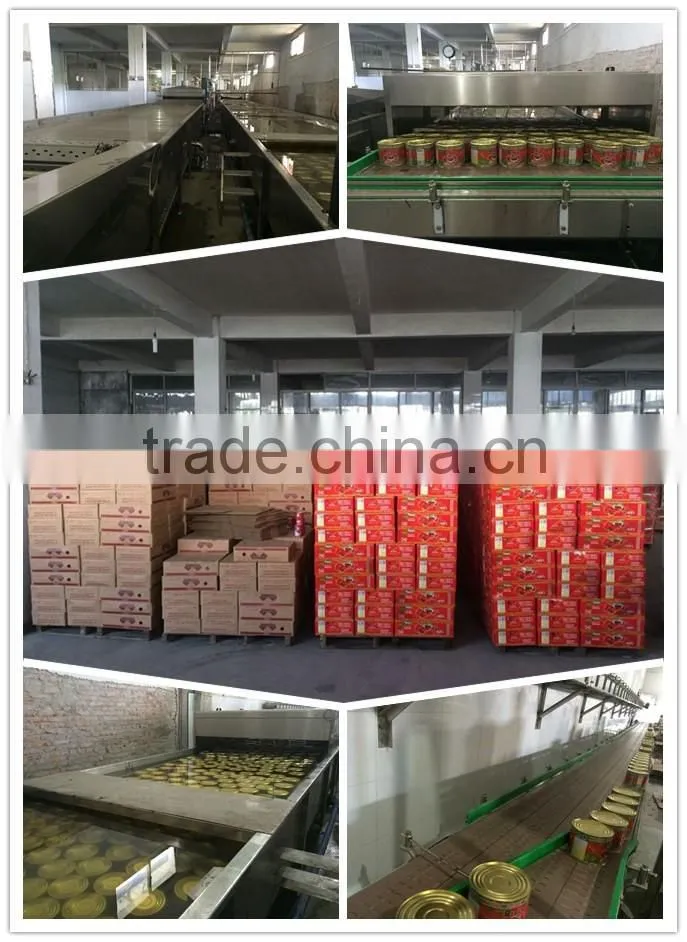 Custom Stick Label Tinned Tomato Paste, Canned Tomato Paste 800gram