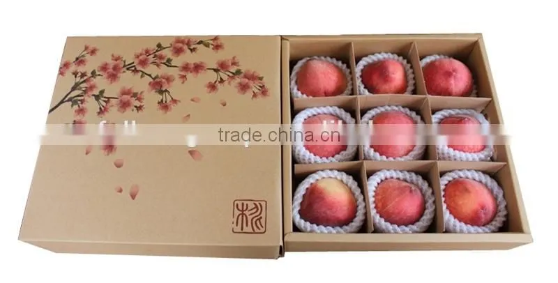 Wholesales reasonable price fruit carton box apples