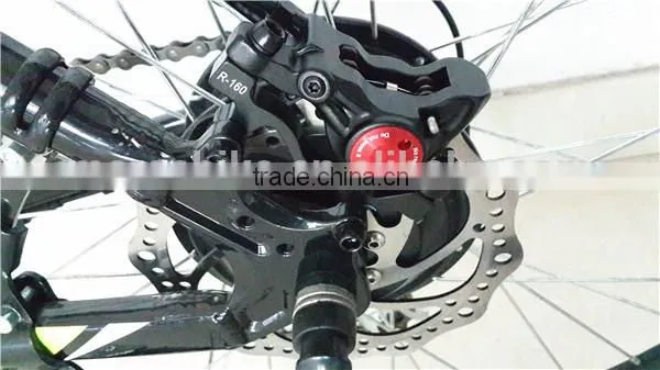 MARS TDE02Z Electric Bicycle with 8fun motor li-battery
