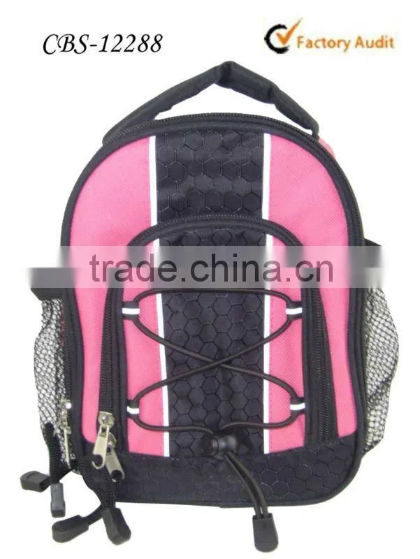 2013 Cooler bag blue lunch bag with bottle holder