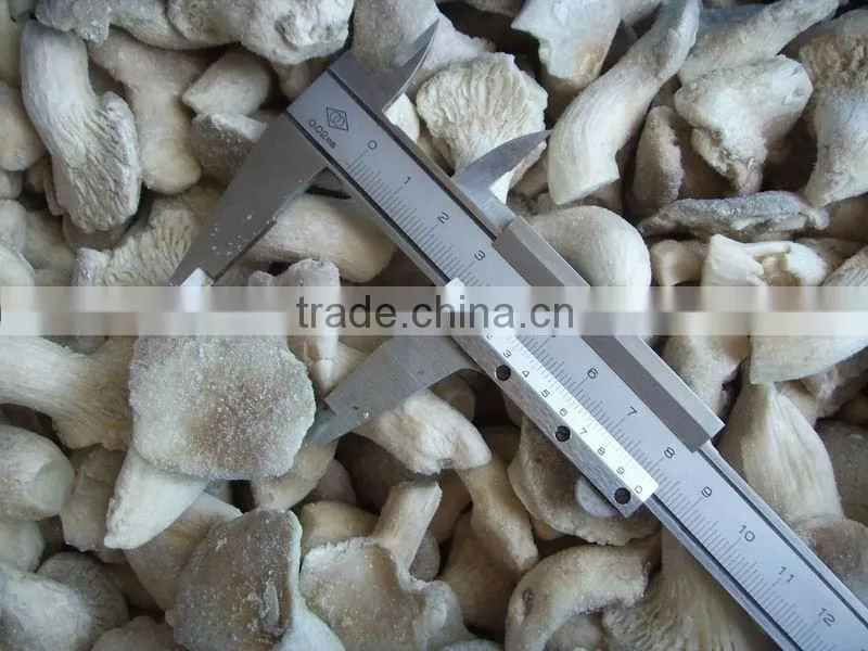 Export IQF Baby Oyster