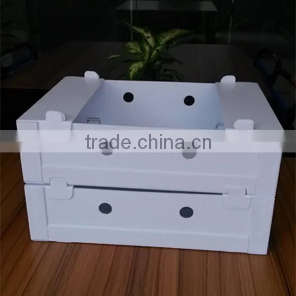 Storage Packaging Collapsible Plastic Fruit Crate