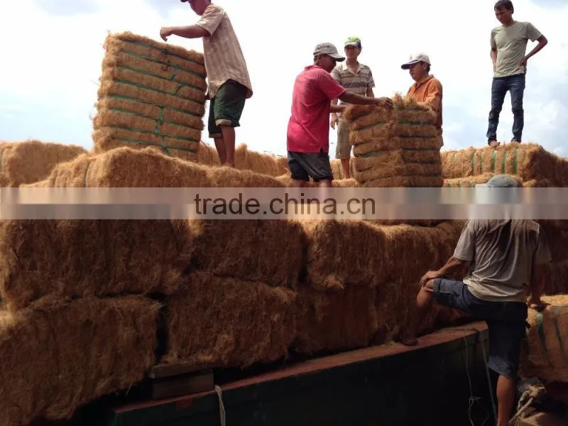 Coconut Fiber High Quality _ QQ : 2290755420