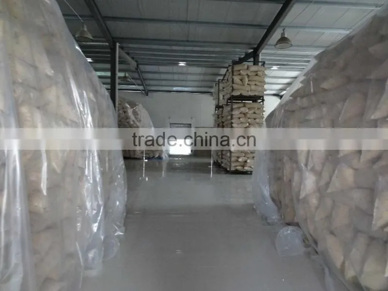2015 New Crop Garlic powder