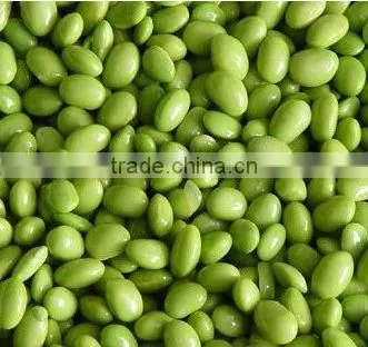 soybean peeling machine /green bean peeling machine