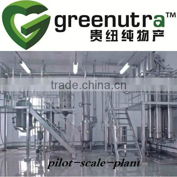 Stevia Extraction Unit