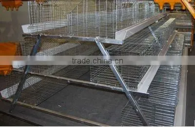 Automatic chicken cage