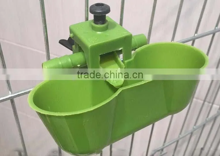 quail drinker feeder