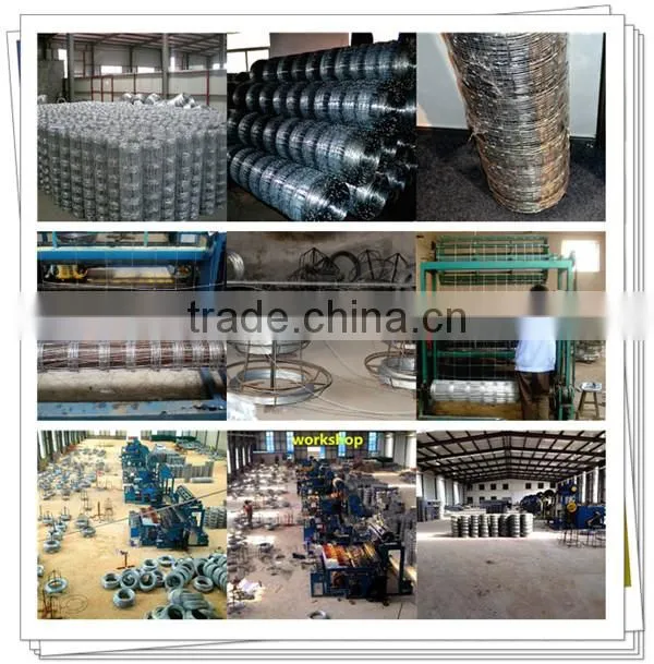heavy duty galvanized mesh diamond mesh horse fencing from china