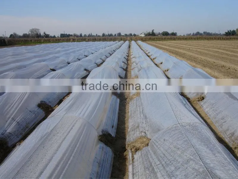 wide greenhouse pe plastic film 200 micron Different specification agriculture greenhouse film