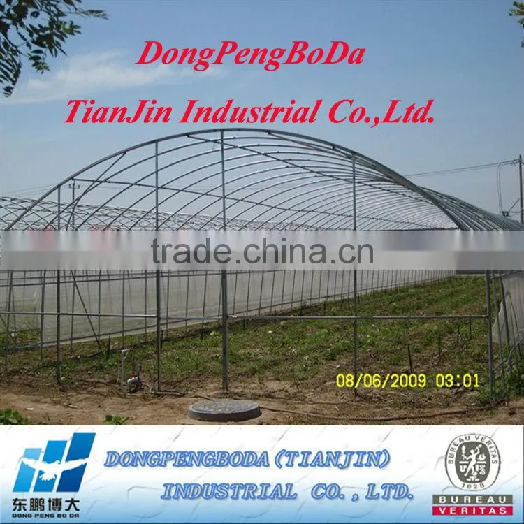 Galvanized Greenhouse Construction/Frame Steel Pipes/Tubes