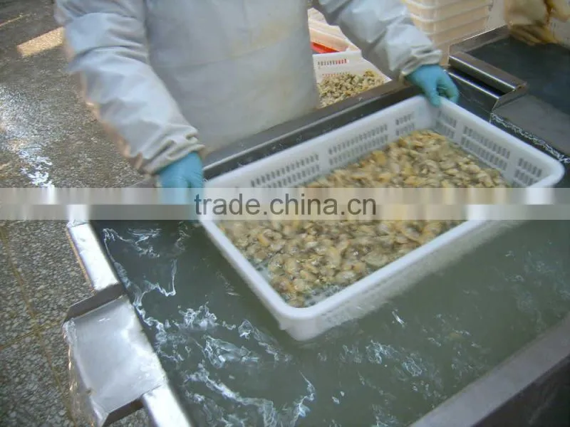 frozen boiled short-necked clam meat