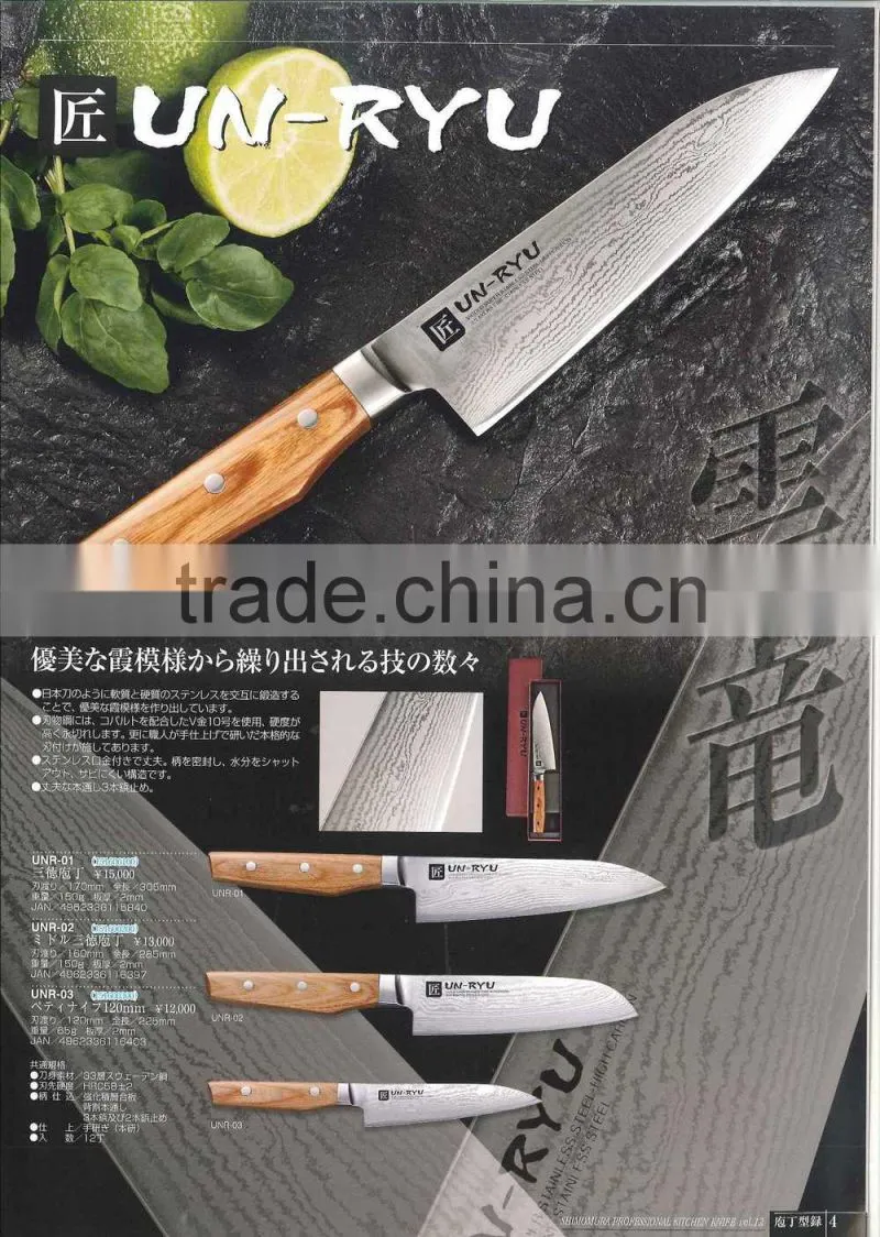 Japanese Kitchen knives set Knife case Pro knife bag made in Japan kitchen knife set