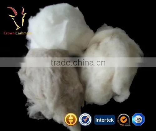 Best Origin of Cashmere Fibres Chinese