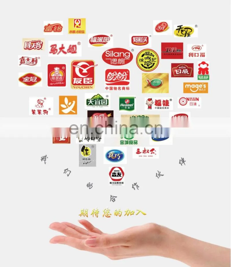 Full Automatic N95 Face Mask 3 Ply Face Mask Plastic Bag Packaging Machine ZP-500SG Mask Packing Machine 3 Sides Seal Pillow Bag