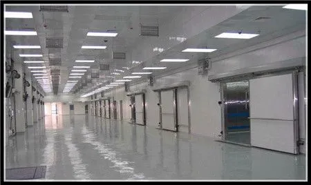 500T Cold Storage Warehouse for Storing Perishable Products
