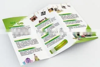 Gloss/Matt Art Paper Flyers Brochures Leaflets Printing