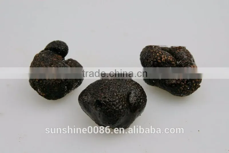 High Quality Fresh Black Truffle,Frozen Mushroom