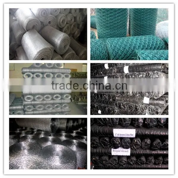 Lowest price galvanized chicken wire mesh(China manufacturer)