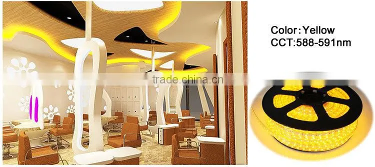 led rope light 5050