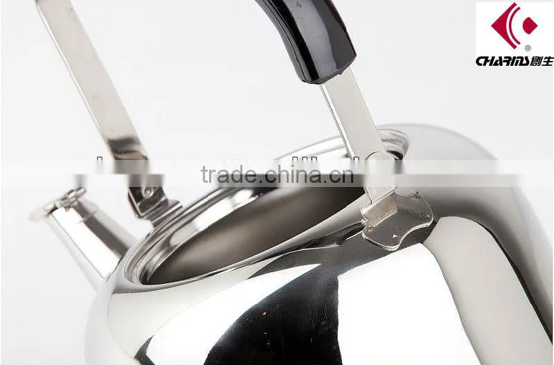 Stainless Steel Charms Tea Pot Kettle