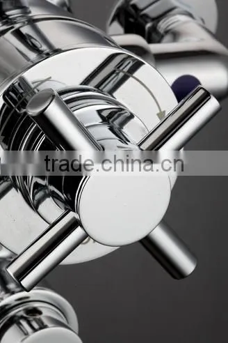 European Exposed Shower Mixing Valve TMV2