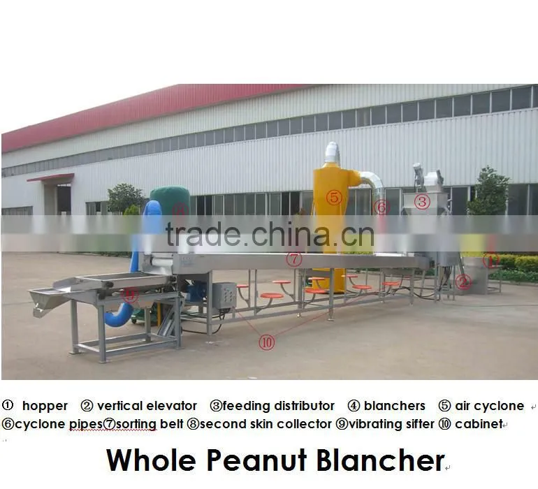 Blanching Machine for Roasted Peanut/Blanched Peanut Machine