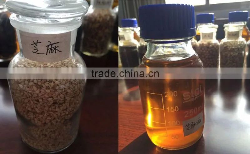 High oil-pressing ratio Hydraulic almond oil extraction machine for sale