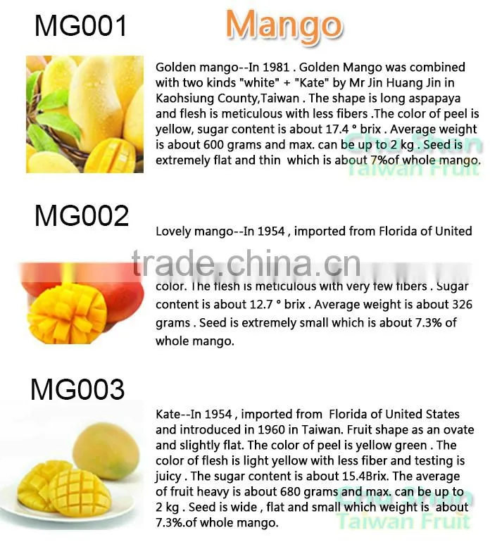 Hot Sale Fresh Mango (Grade AAA)