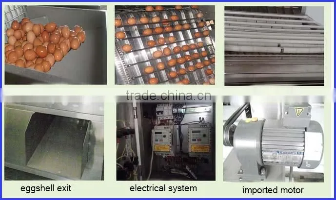 58 Full automatic duck egg peeler 0086 13721438675