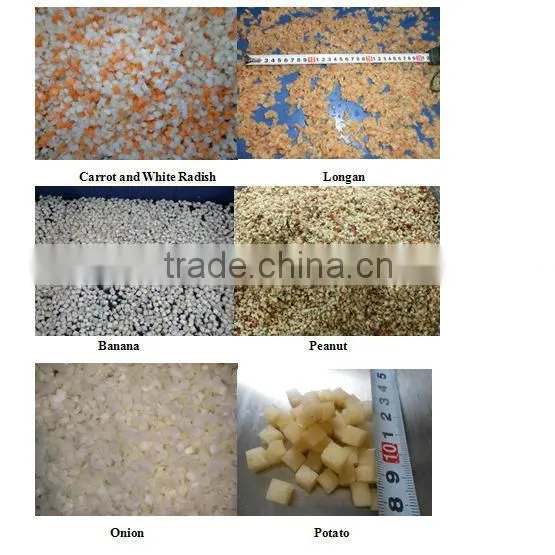 CE approved electric vegetable slicing dicer for cubes of 3-10mm, QD2000 Vegetable Dicer