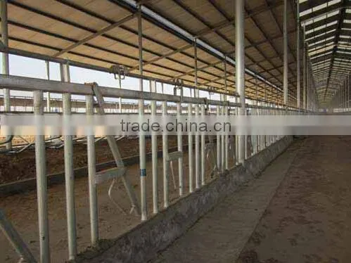 Animal Husbandry Equipment Cows Neck Cangue