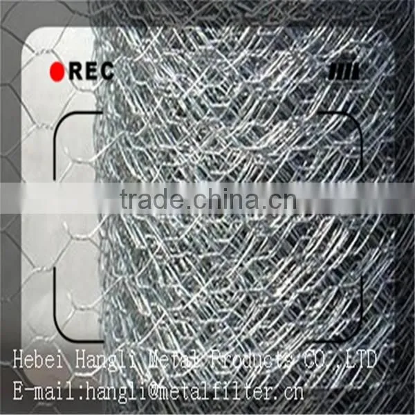 2015hot sale china supplier low price Stainless Steel Hexagonal Wire Netting