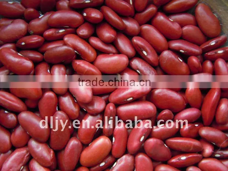Dark Red Kidney Beans (new)