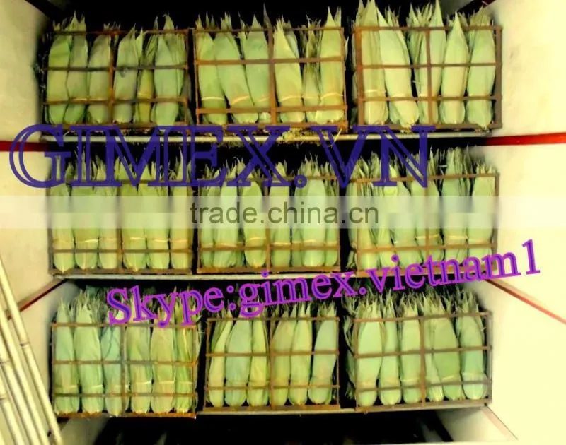 Bamboo leaf japan market; Bamboo leaves